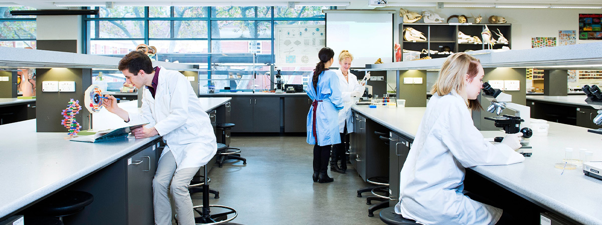 澳洲大學生物醫學與科學課程 — DSE 學生直入澳洲八大商學院申請指南