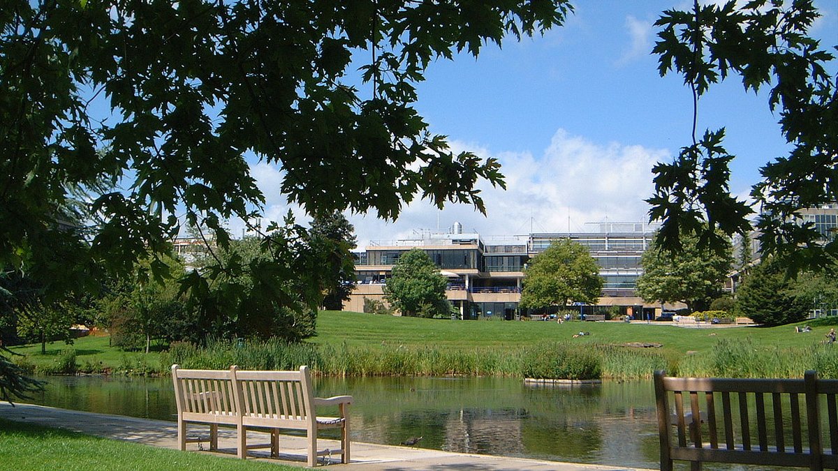 巴斯大學