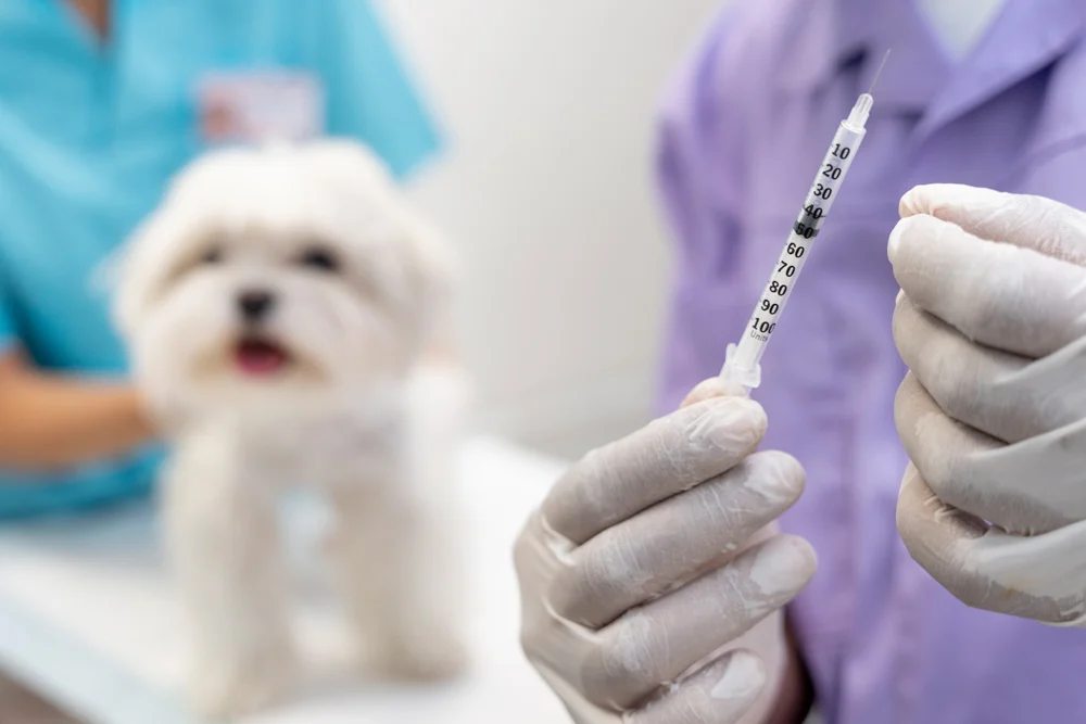 ps-veterinary-medicine-banner