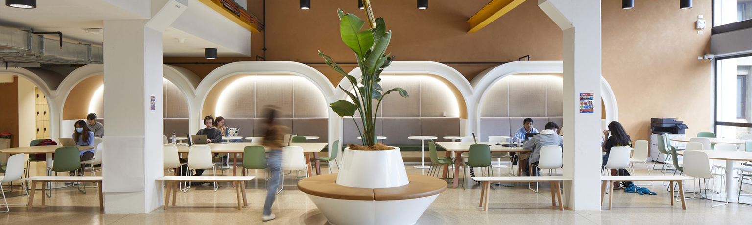 悉尼大學校園公共空間