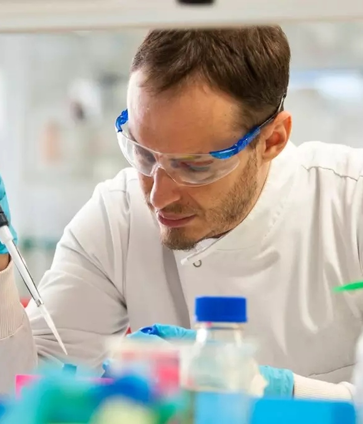 University of Surrey 食品科學與營養學 Food Science and Nutrition BSc 課程