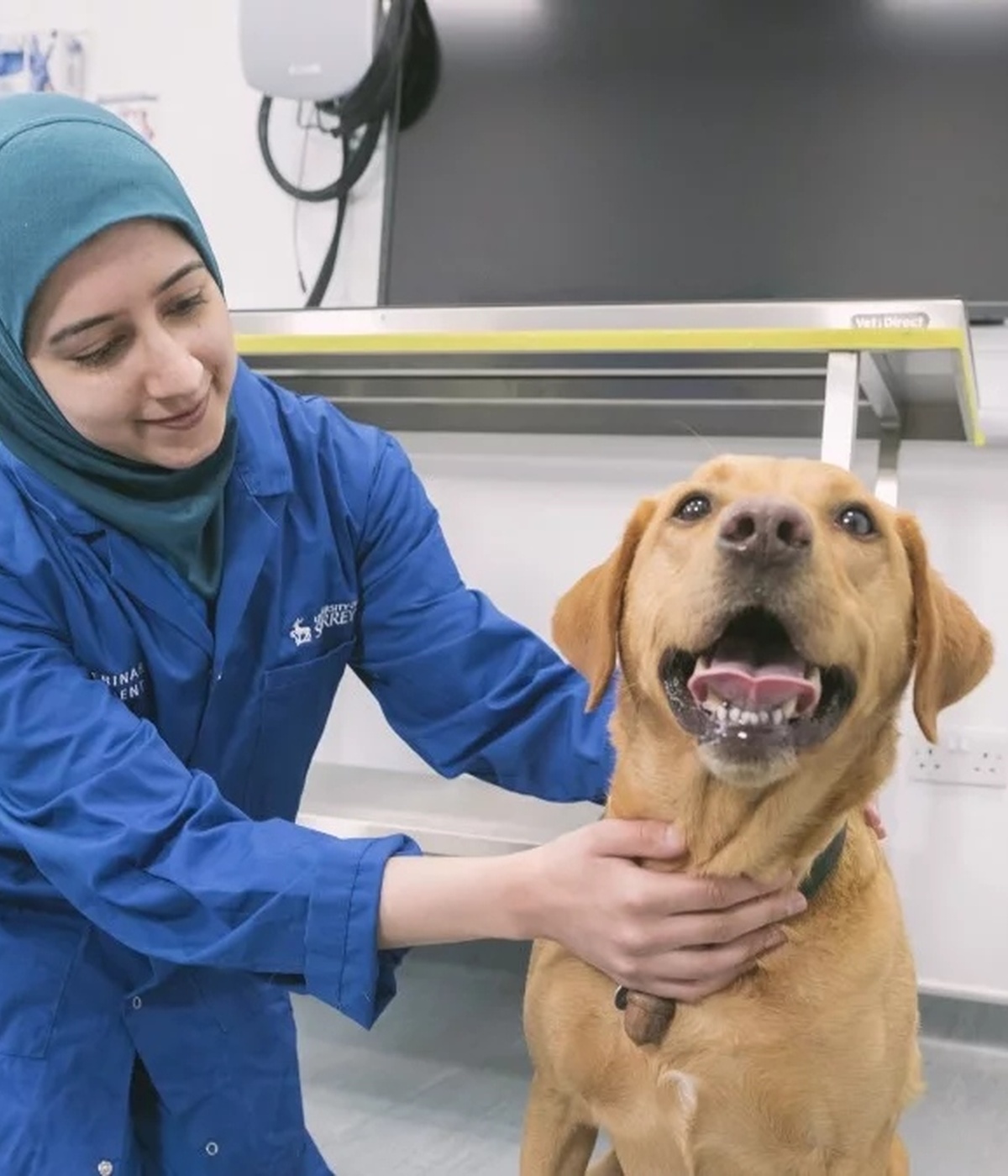 University of Surrey 獸醫學 Veterinary Medicine BVMSci 課程
